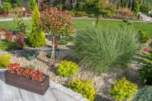 Integrating Pollinator-Friendly Elements with Hardscape