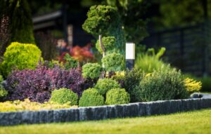 Pollinator-Friendly Landscaping