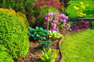 Utilize Groundcover and Perennials